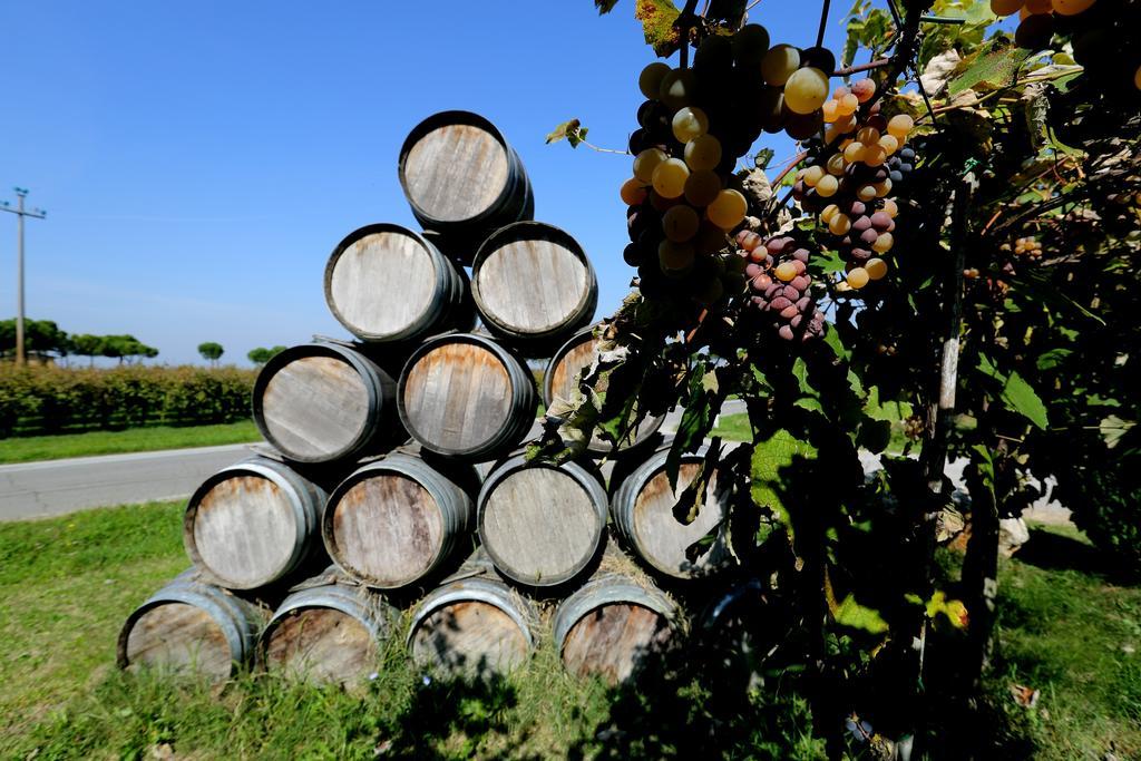Agriturismo Trere Faenza Exterior photo